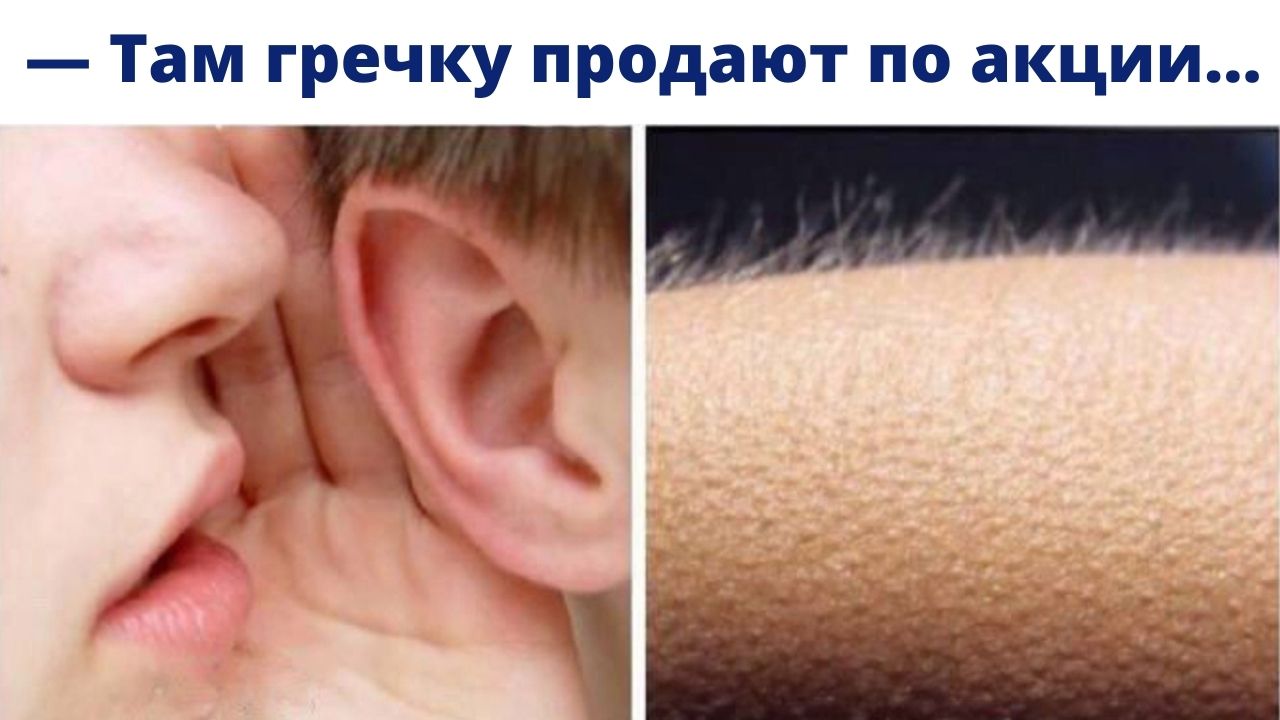 Содержанка мем