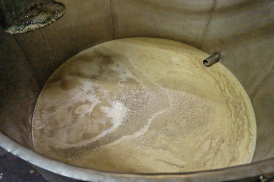 Смотрите сами: как пекут хлеб?