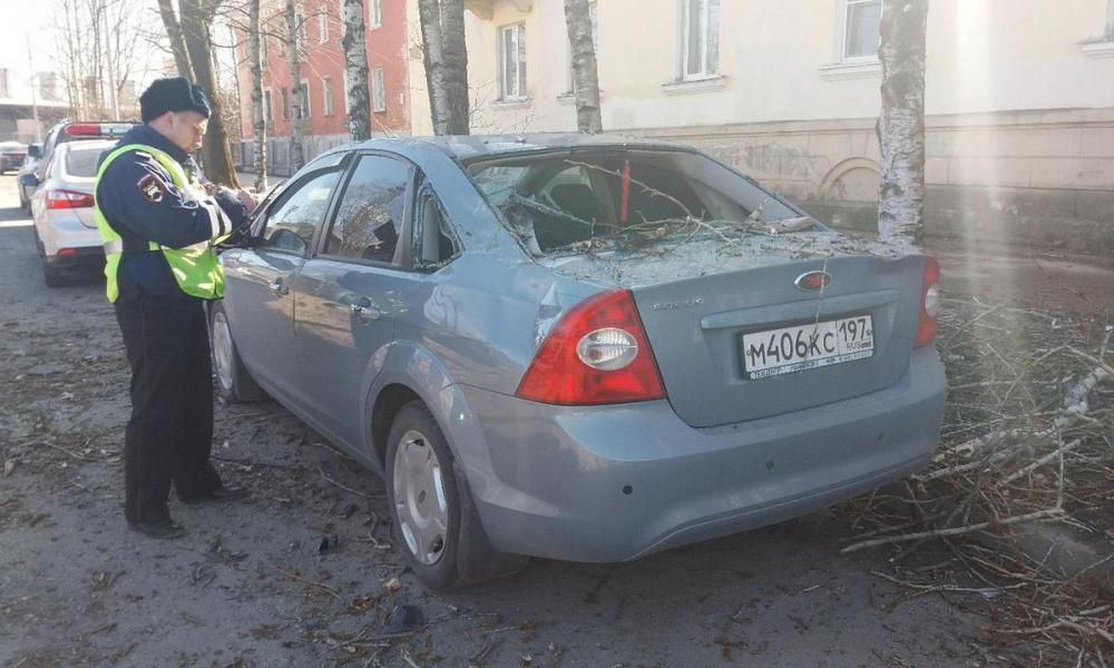 mashina i derevo