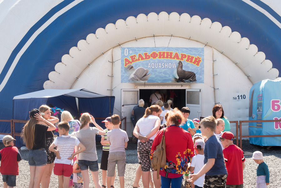 дельфинарий в Петрозаводске