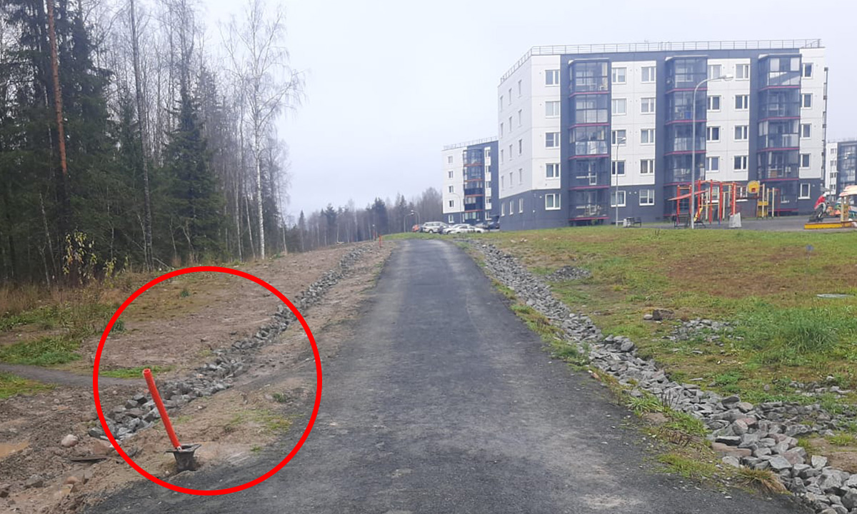 Петрозаводск древлянка столица. Древлянка Петрозаводск. Новодревлянский сквер. Новодревлянский сквер Петрозаводск. Конюшня Петрозаводск на Древлянке.