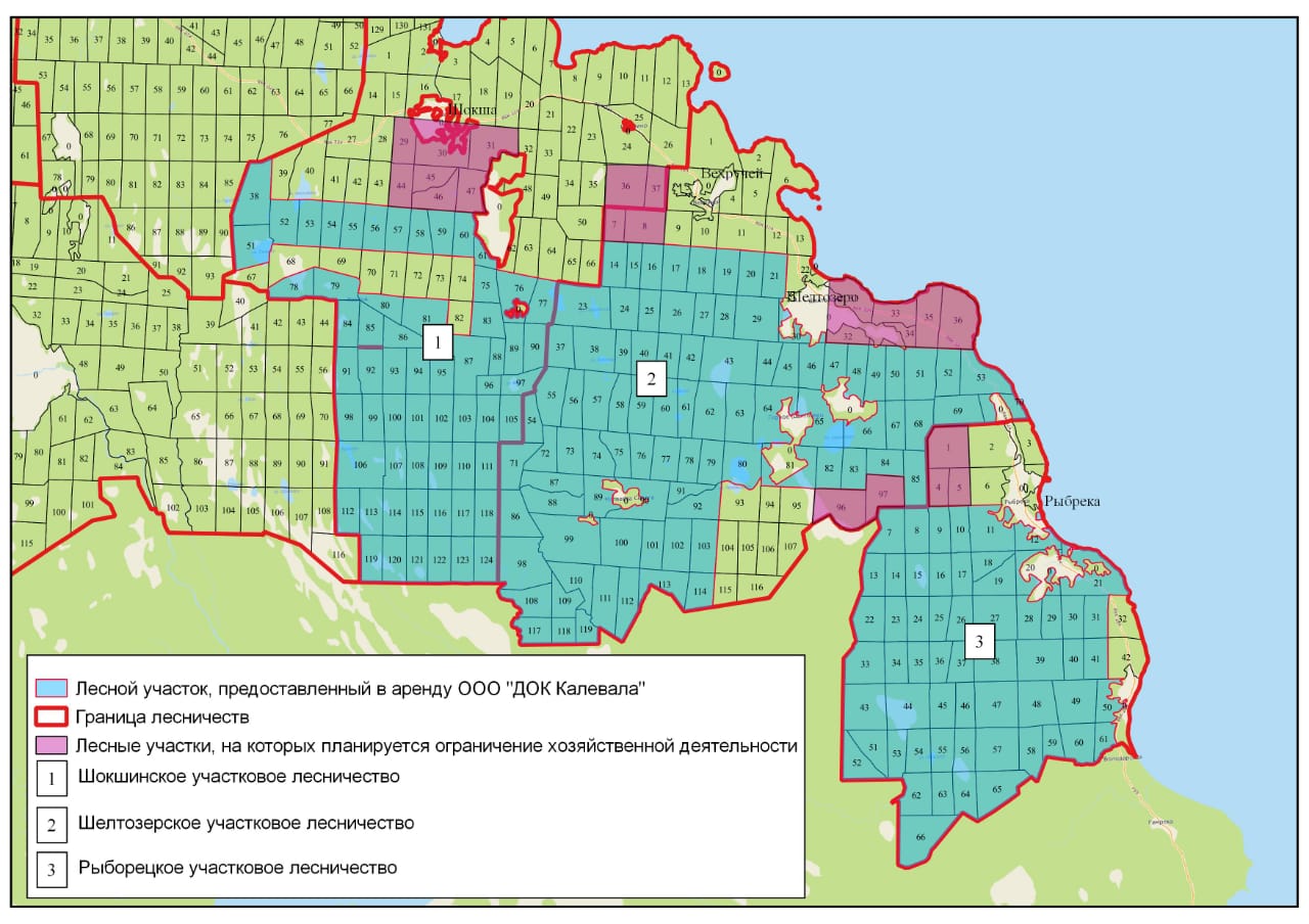 Карта лесов карелии
