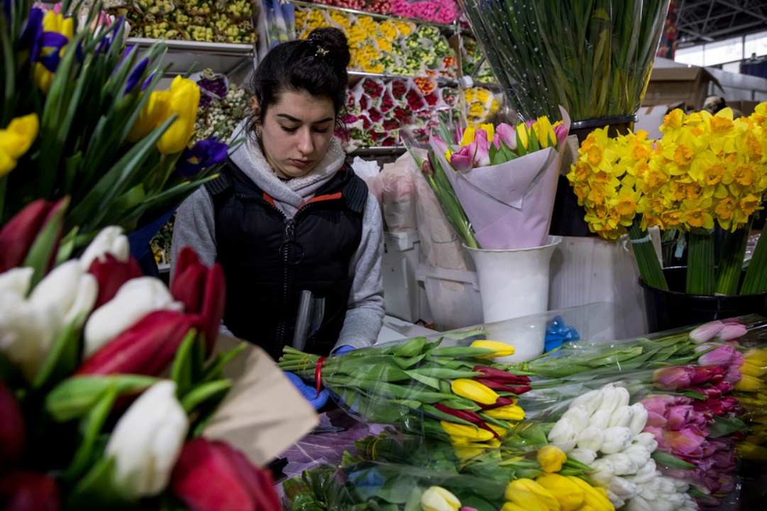 Девушка за прилавком цветочного магазина в окружении букетов с тюльпанами
