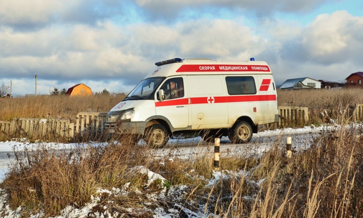 В Карелии мужчина умер после царапины, полученной от дворовой собаки