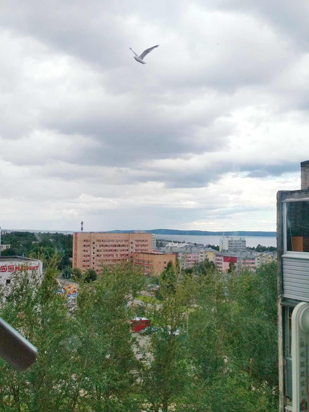 Вид из квартиры в Петрозаводске