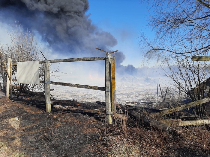 Пожар уничтожил звероферму в Карелии