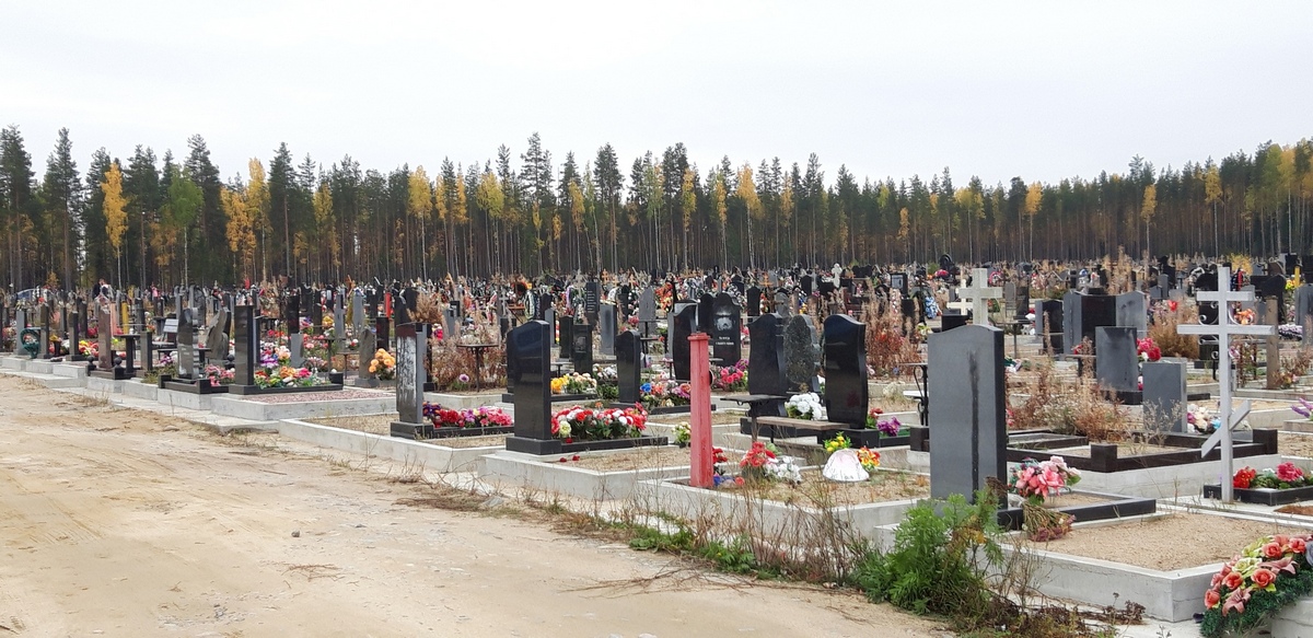 В Петрозаводске будут расширять кладбище
