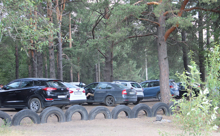 Машины припаркованы в лесу 