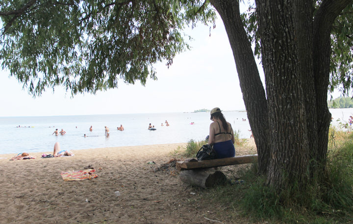 Женщина читает на пляже под деревом 