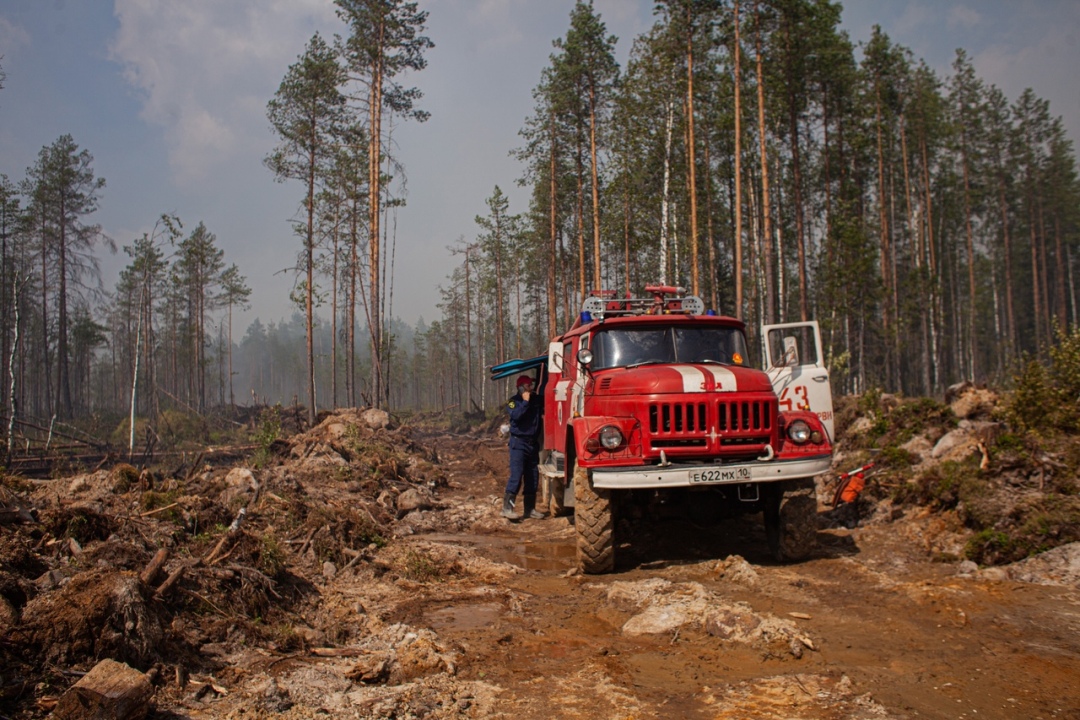 лесные пожары в Карелии