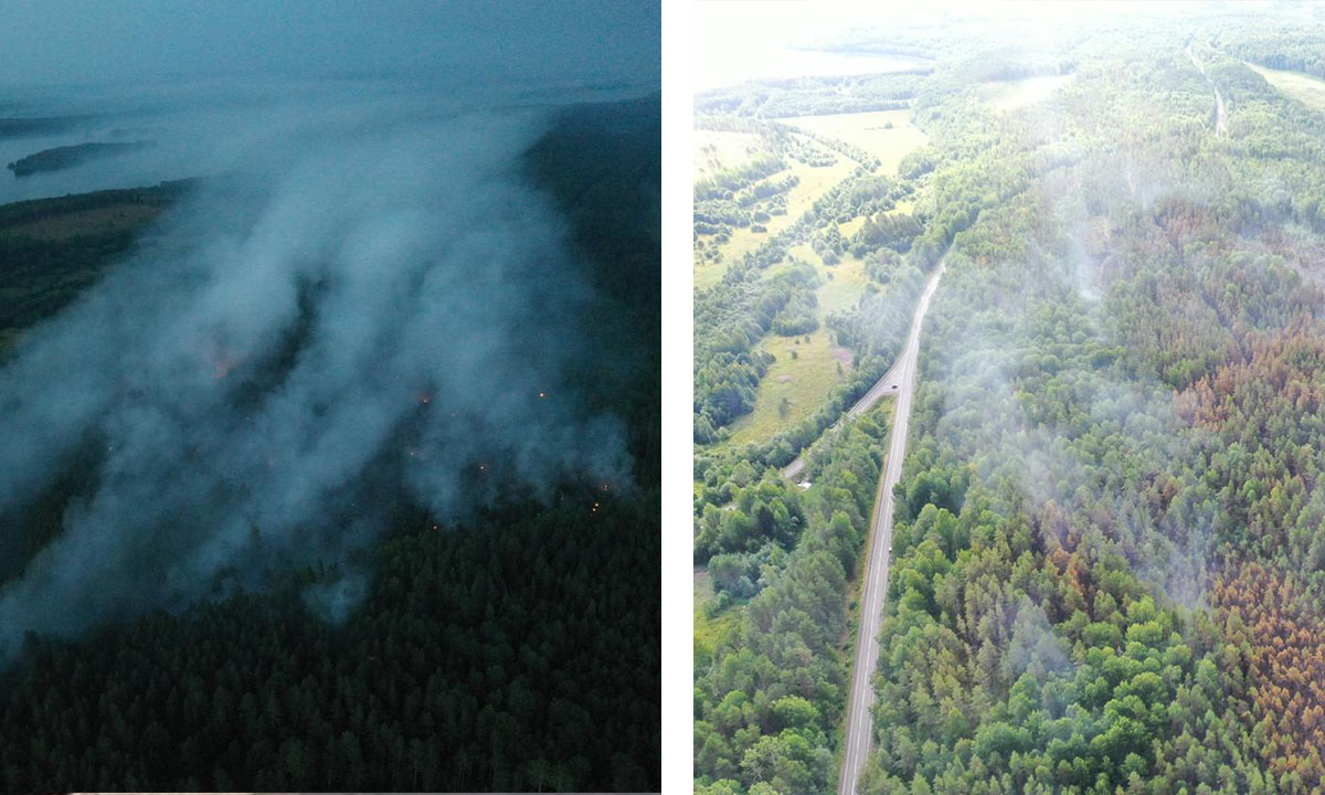 Пожар на дороге к старейшему российскому курорту в Карелии локализован