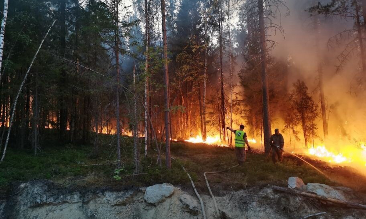 лесной пожар в Карелии