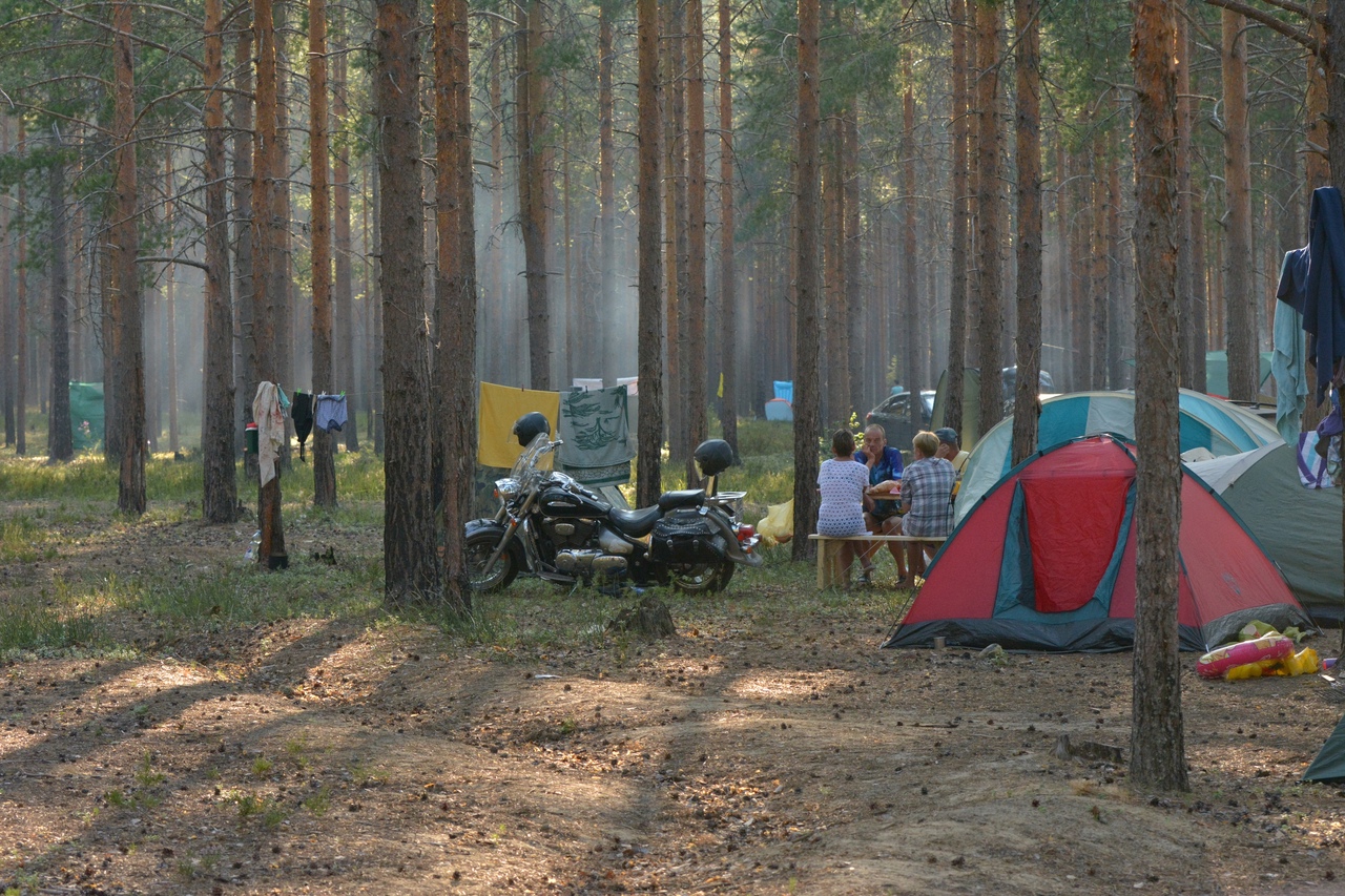 байкеры устроили вечеринку в лесу в Карелии