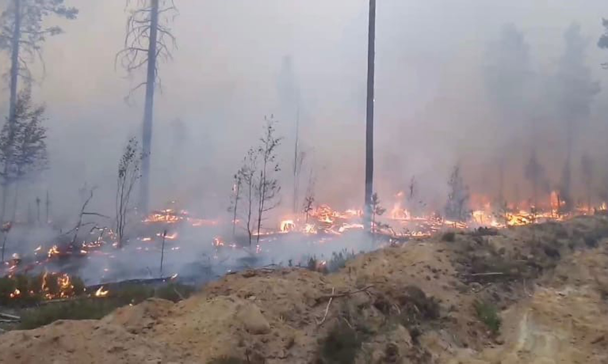 пожар в Карелии