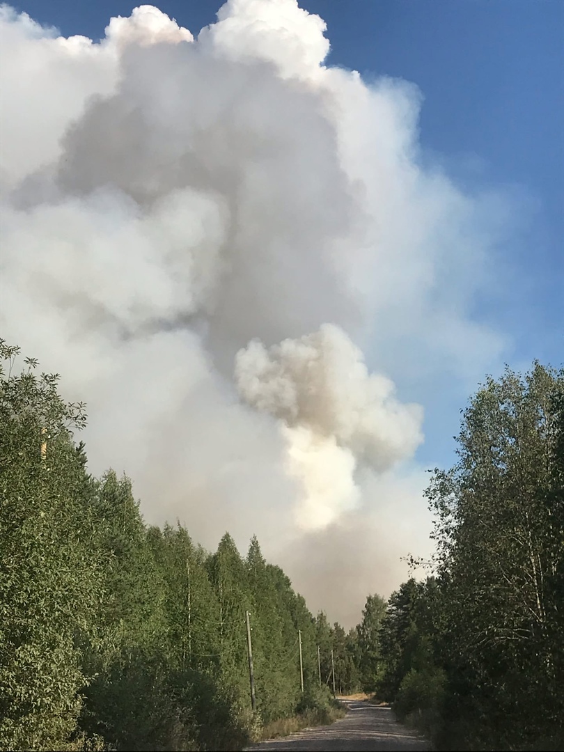 лесной пожар в поселке