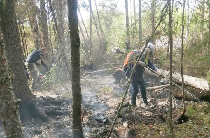Волонтеры работают в лесу на пожаре 