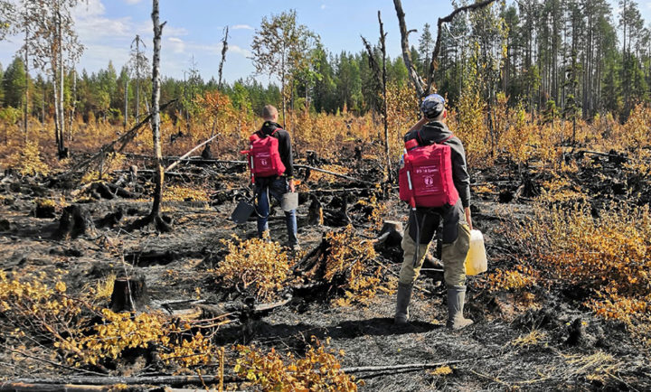 Волонтеры тушать лес 