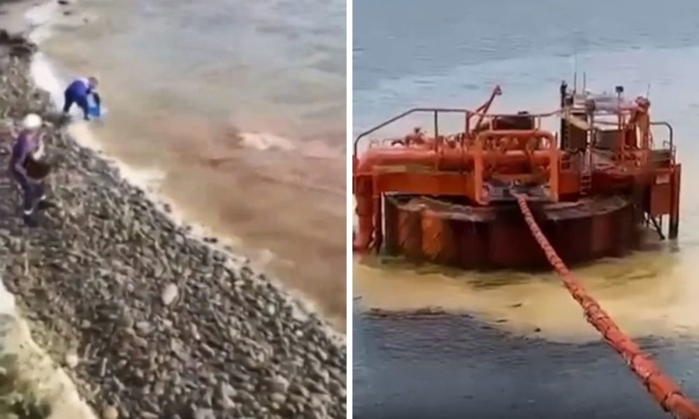 Экологическая катастрофа в черном море 2025 фото В Черном море произошла экологическая катастрофа