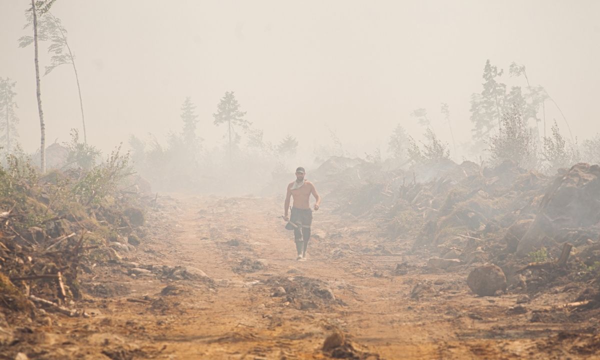 Глава Минприроды Карелии назвал плохую связь основной причиной трудностей при тушении лесных пожаров