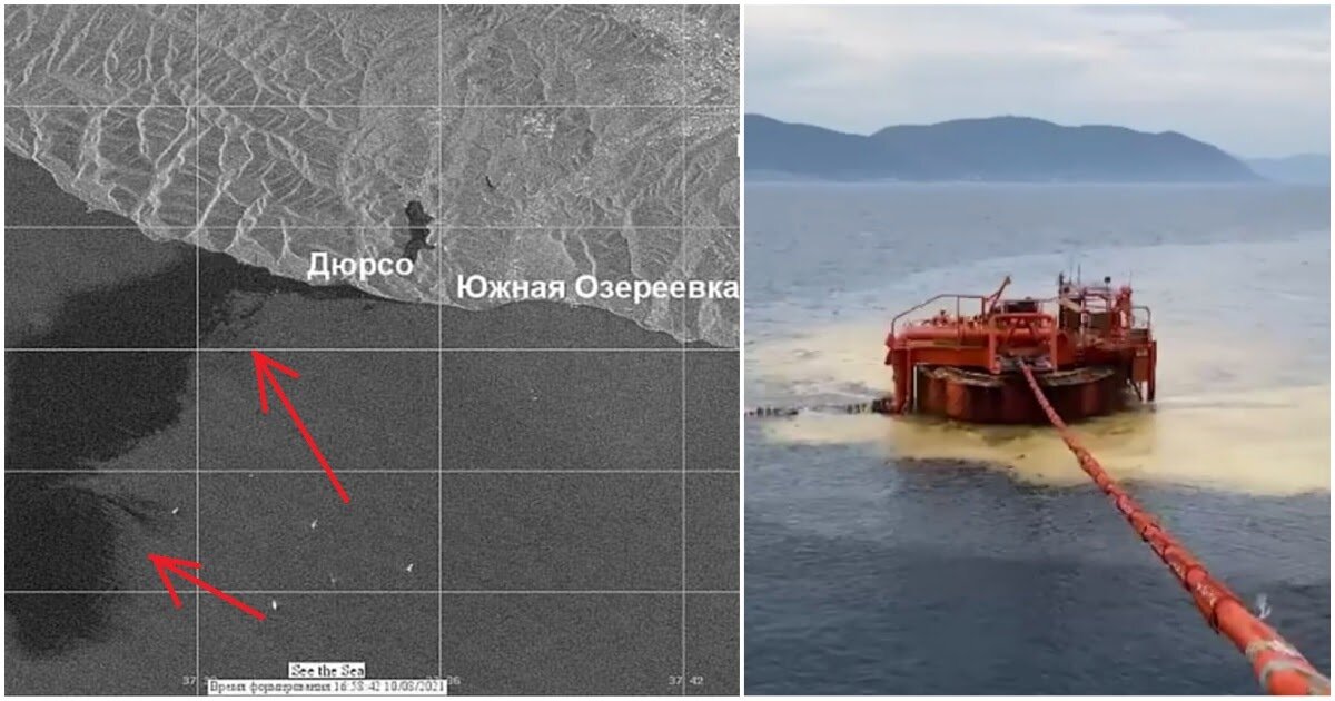 Экологическая катастрофа в черном море фото В Черном море произошла экологическая катастрофа
