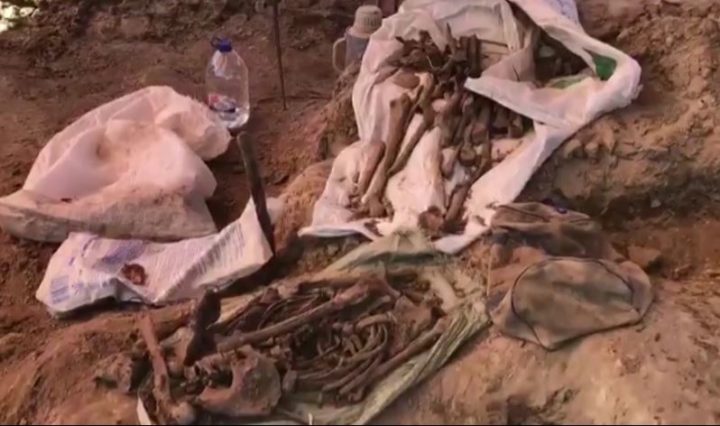 Более 200 человеческих останков обнаружили в Карелии 