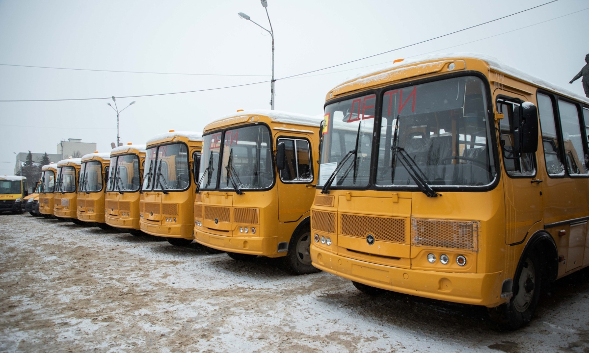 школьные автобусы