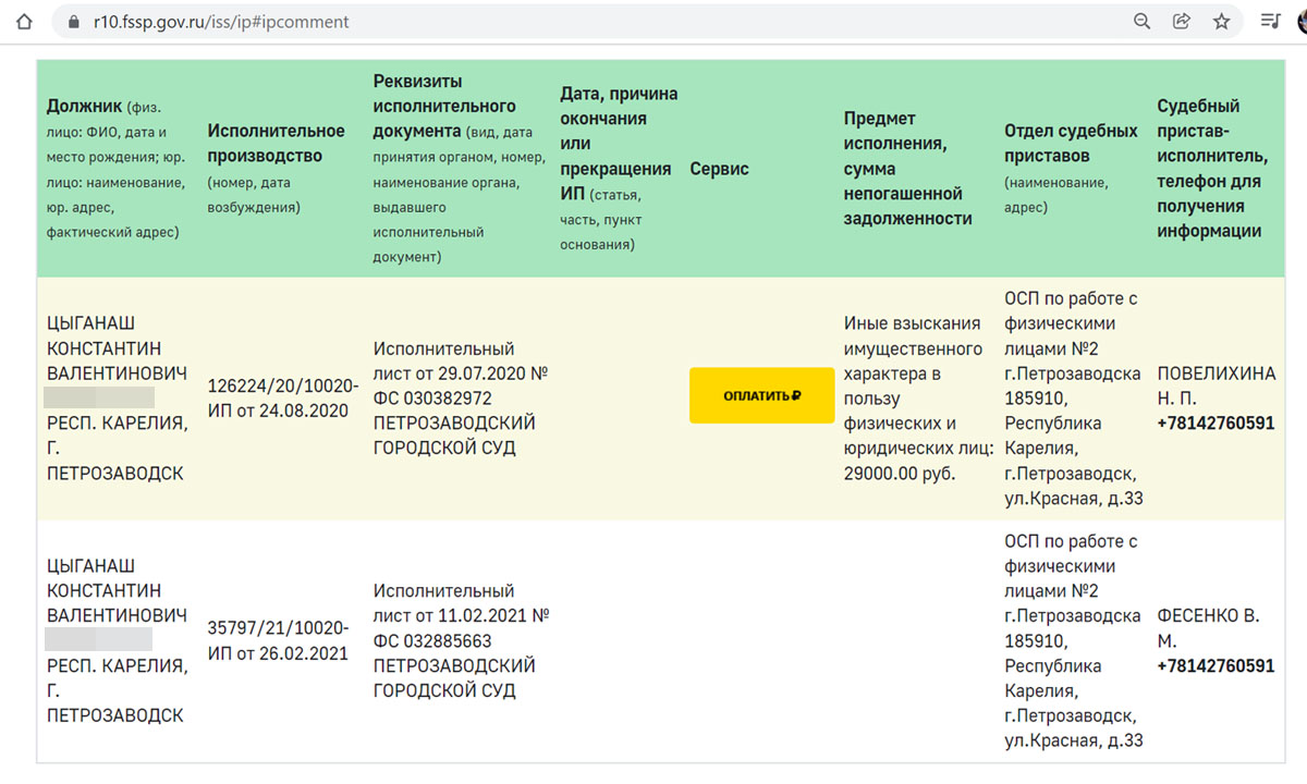 Стало известно, кто владеет участком земли на трассе «Фонтаны» в  Петрозаводске