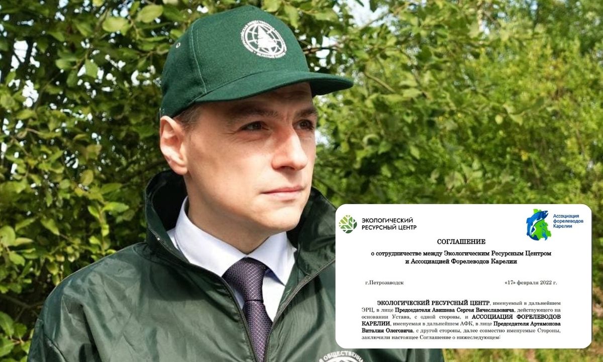 авишев