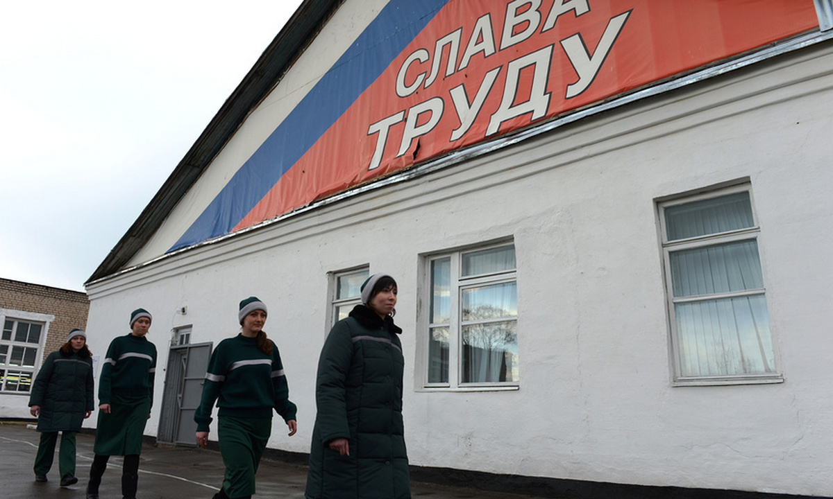 колония
