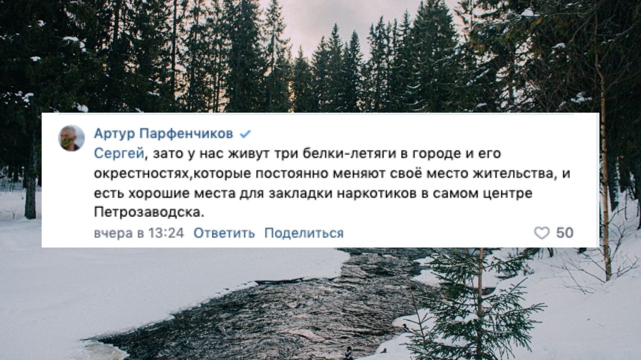 Как профессор отреагировал на внезапно появившийся куст. В городе Петрозаводске закладки.