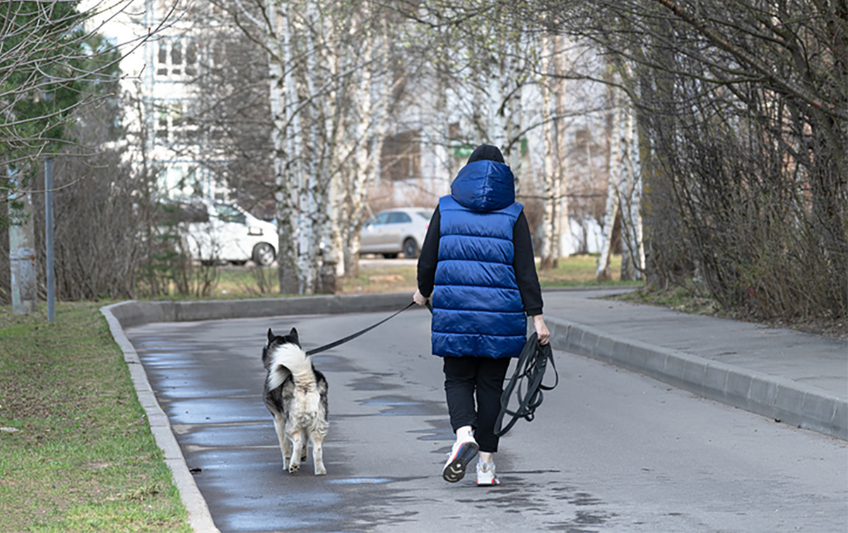 Девушка гуляет с собакой