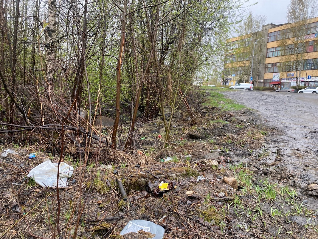 Ужасы нашего городка: показываем, где в Петрозаводске нужна срочная уборка