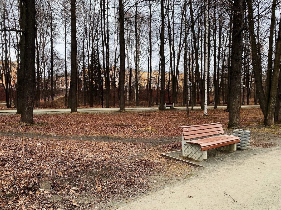 Ужасы нашего городка: показываем, где в Петрозаводске нужна срочная уборка