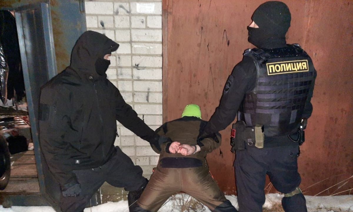 задержание преступника
