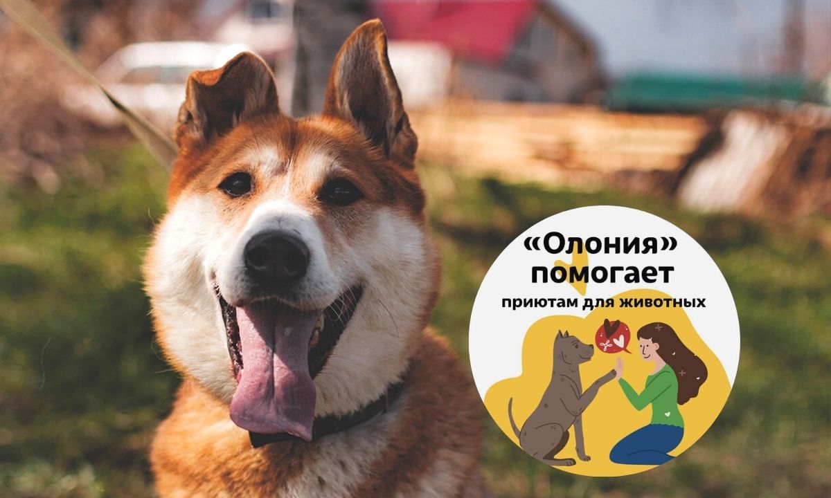 пес рекс