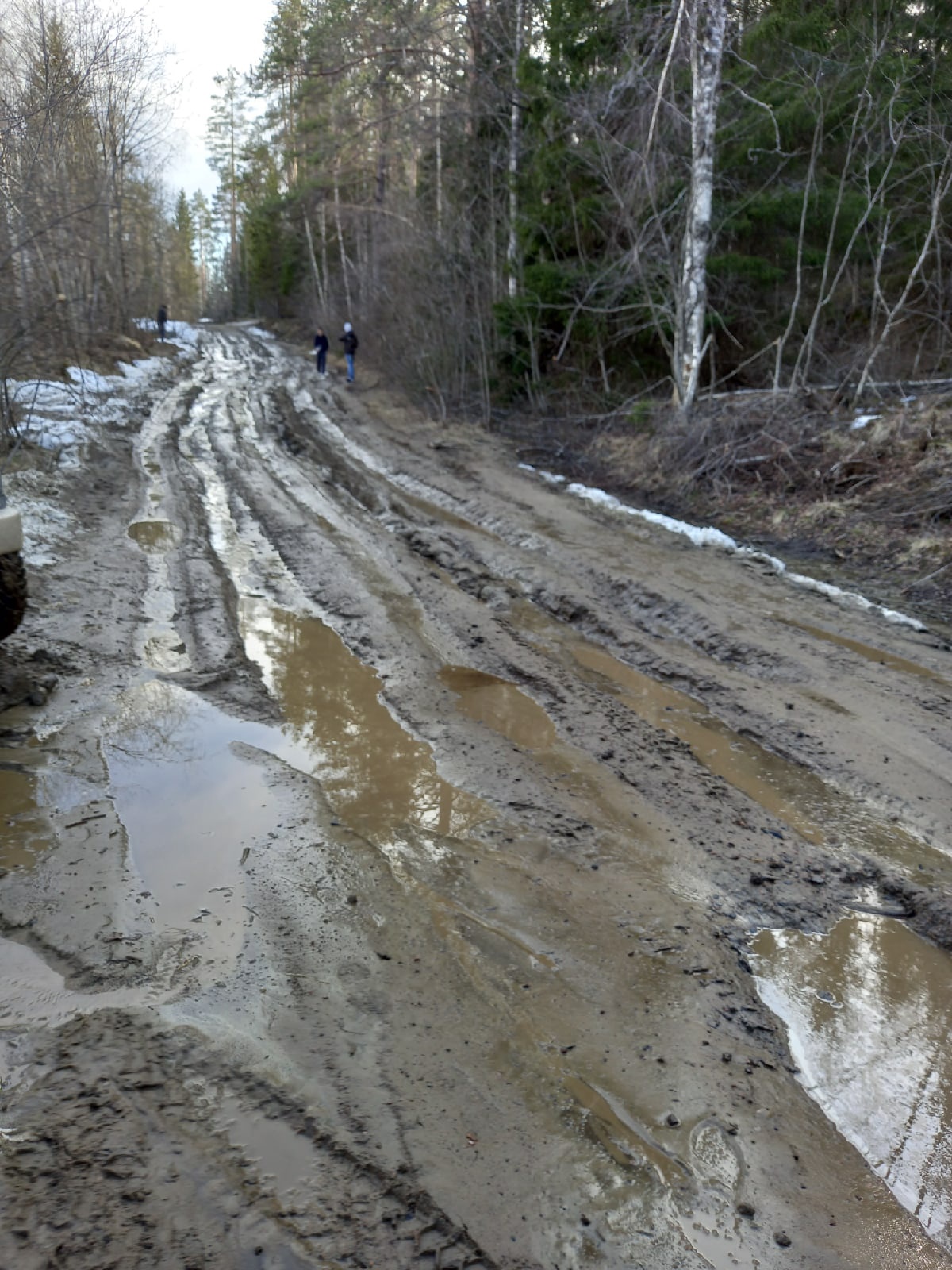 Машины вязнут в грязи на дороге к водопаду Белые мосты