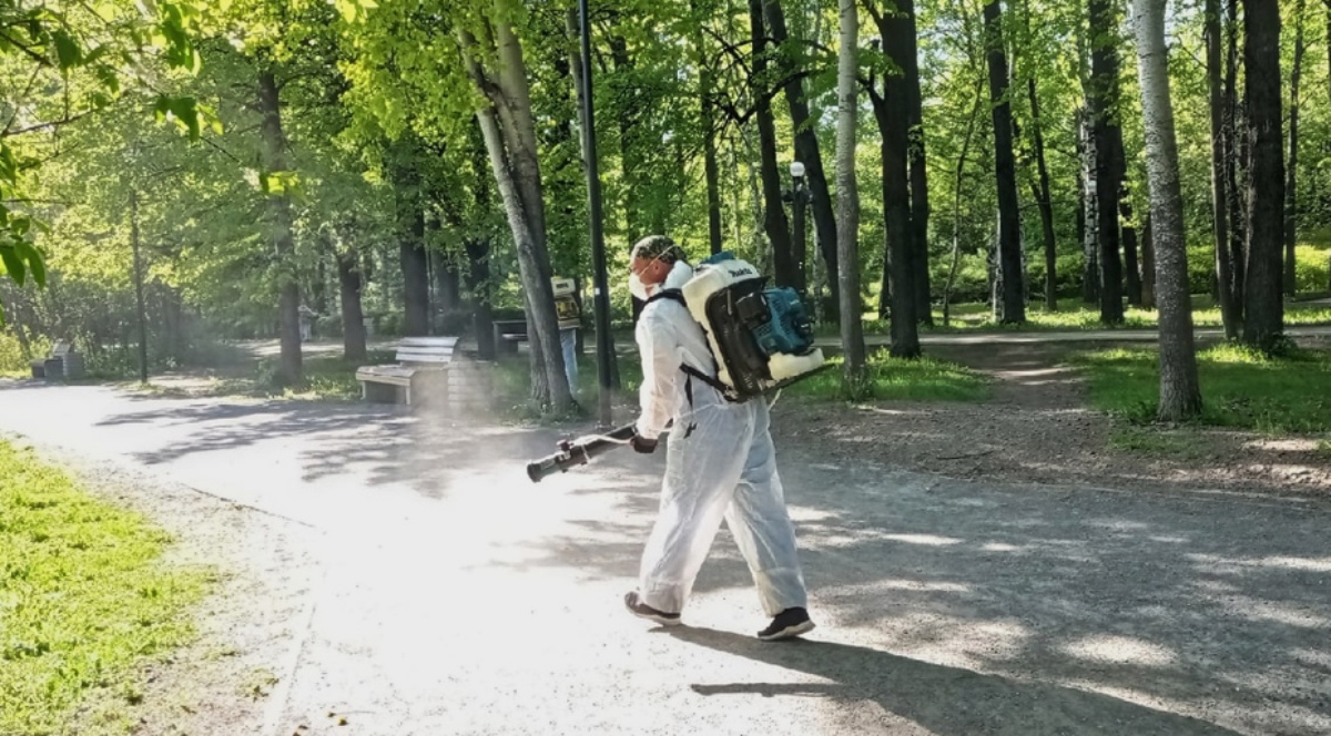 клещи