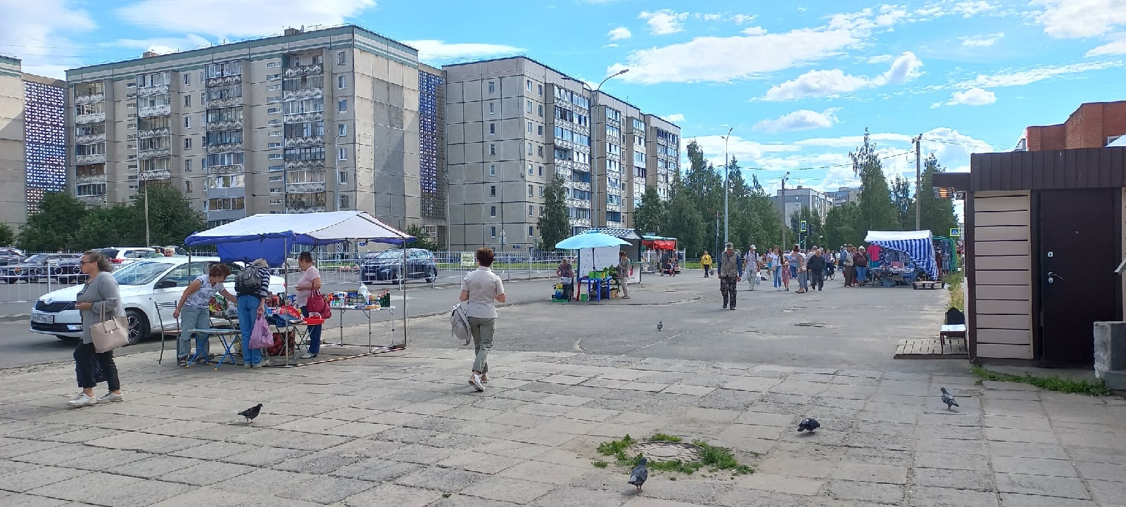 Фото На Документы Петрозаводск Древлянка