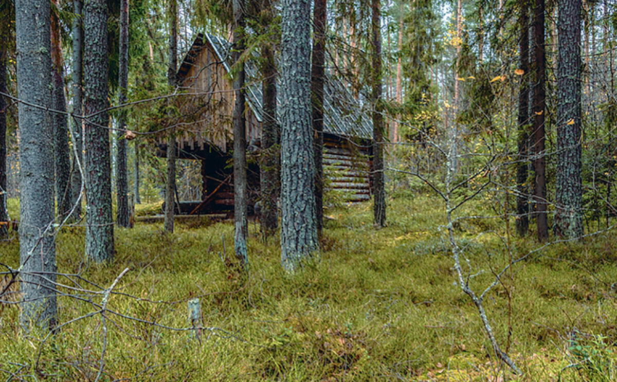 Муезерский район Карелии