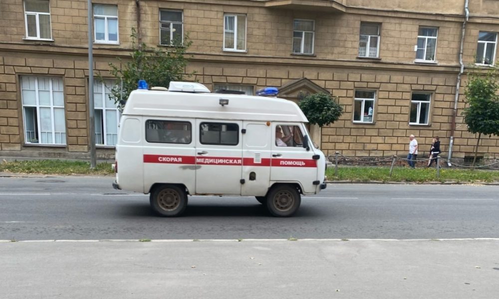 Могут ли претендовать на наследство внуки умершего сына при живом втором сыне бабушки