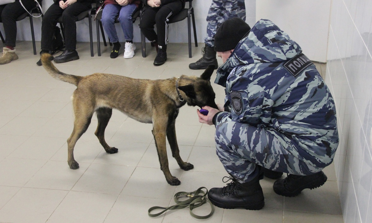 В Петрозаводске собака нашла двух пропавших детей | 14.02.2023 | Новости  Петрозаводска - БезФормата