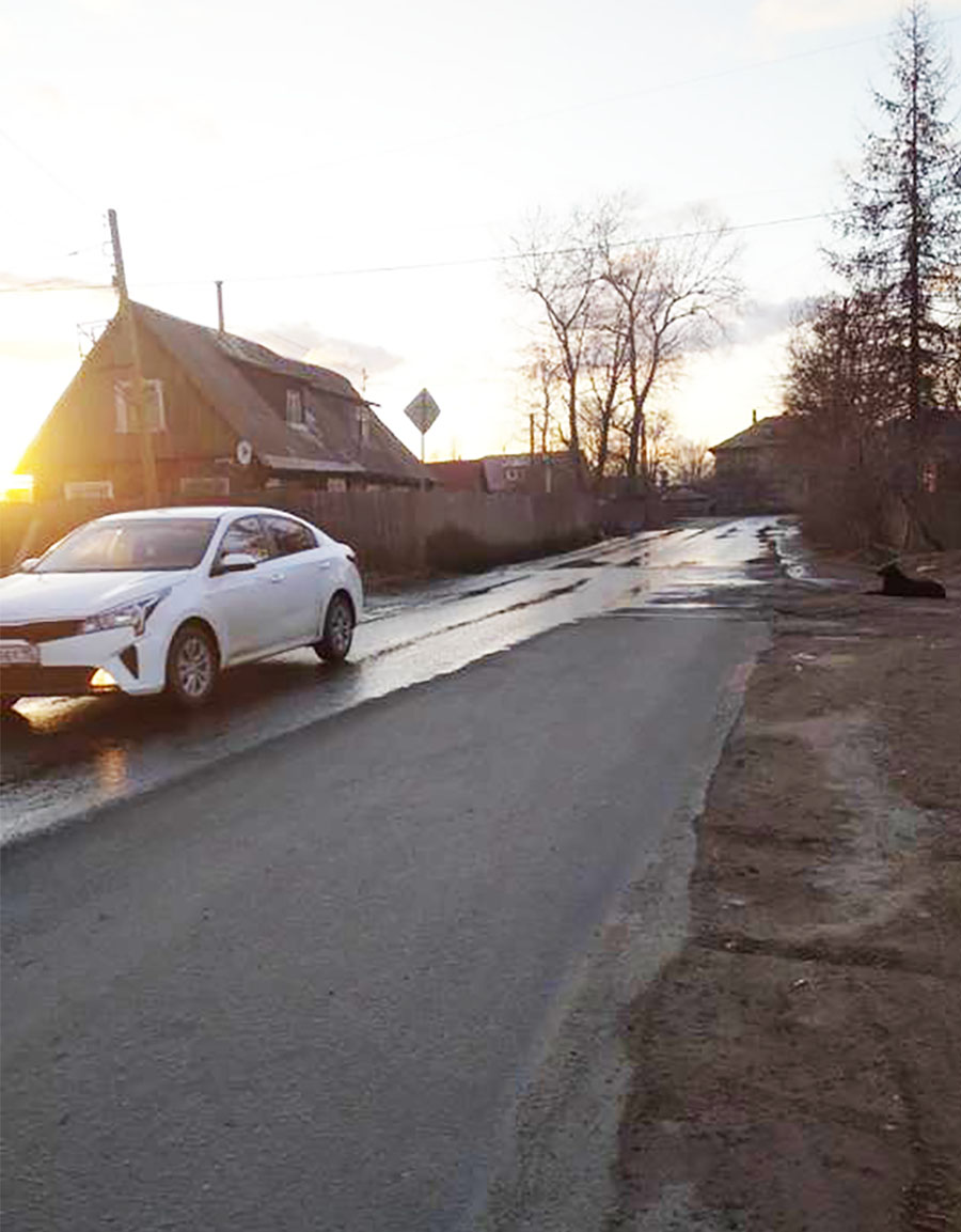 В Петрозаводске автомобили сбили двух детей | 24.04.2023 | Новости  Петрозаводска - БезФормата