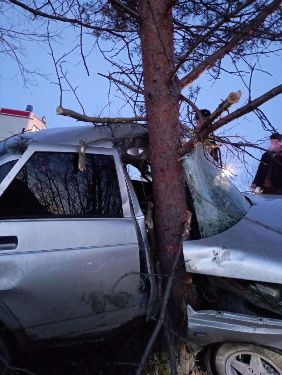 Страшная авария под Петрозаводском: машину прошило ветками дерева