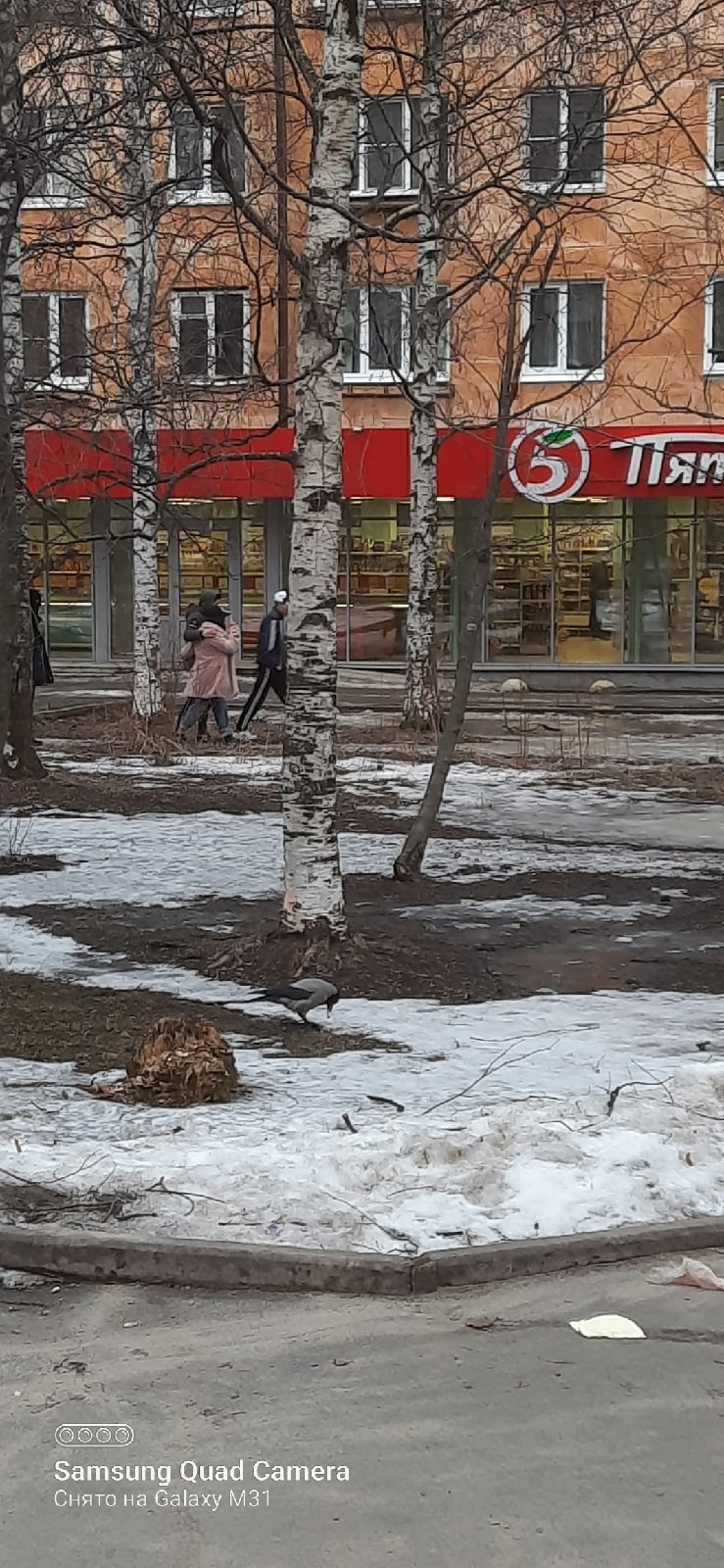 Стали раздевать, просили вывернуть даже лифчик». В Петрозаводске на  школьницу напала толпа подростков | 03.04.2023 | Новости Петрозаводска -  БезФормата