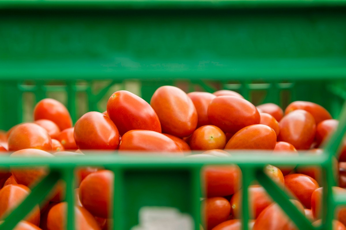 как тратить на продукты меньше