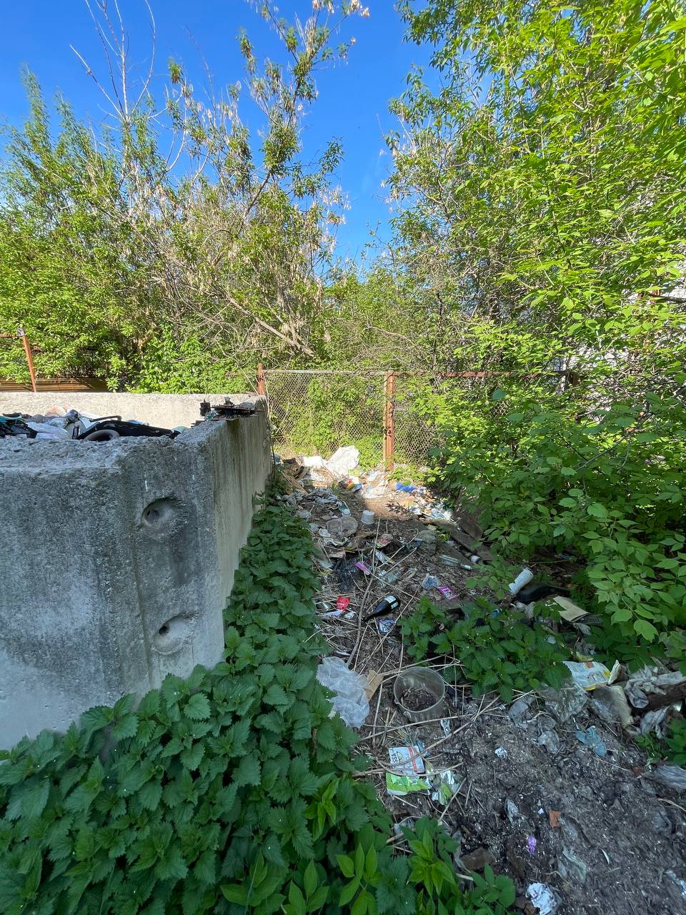 В карельском городе напротив детсада открыт туалет с выгребной ямой |  29.05.2023 | Новости Петрозаводска - БезФормата