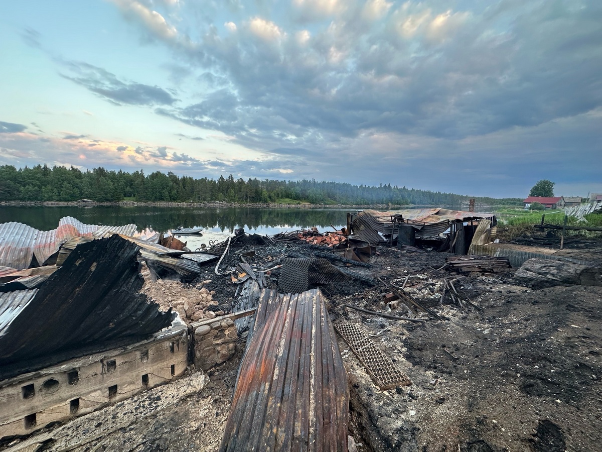 Три дома сгорели в Карелии: подробности страшного пожара | 27.06.2023 |  Новости Петрозаводска - БезФормата