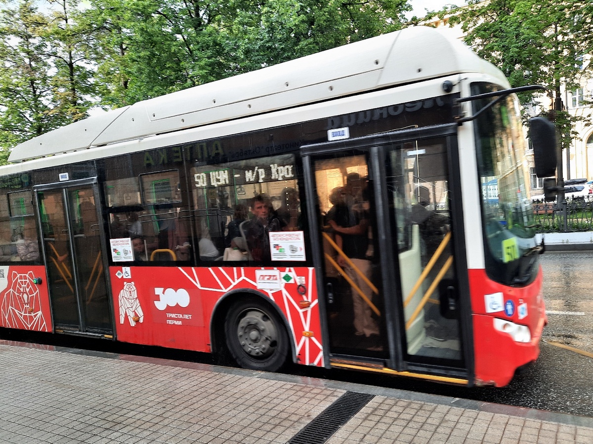 Стала известна стоимость проезда в новых автобусах | 13.06.2023 | Новости  Петрозаводска - БезФормата