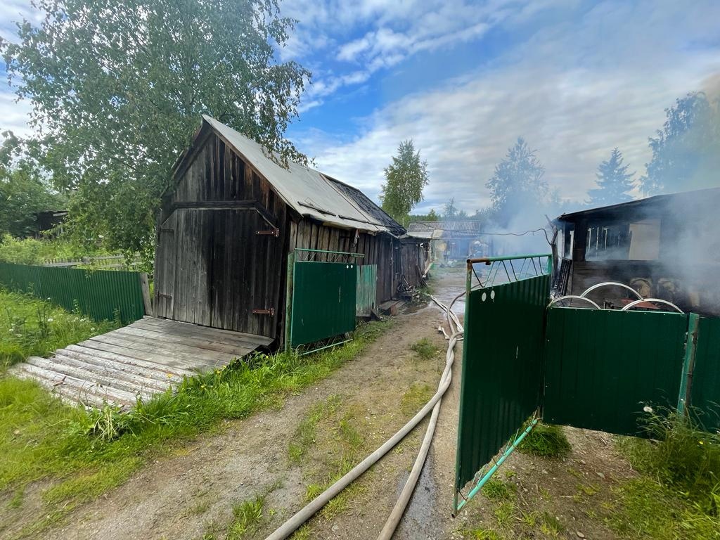 Собака погибла на страшном пожаре в Карелии