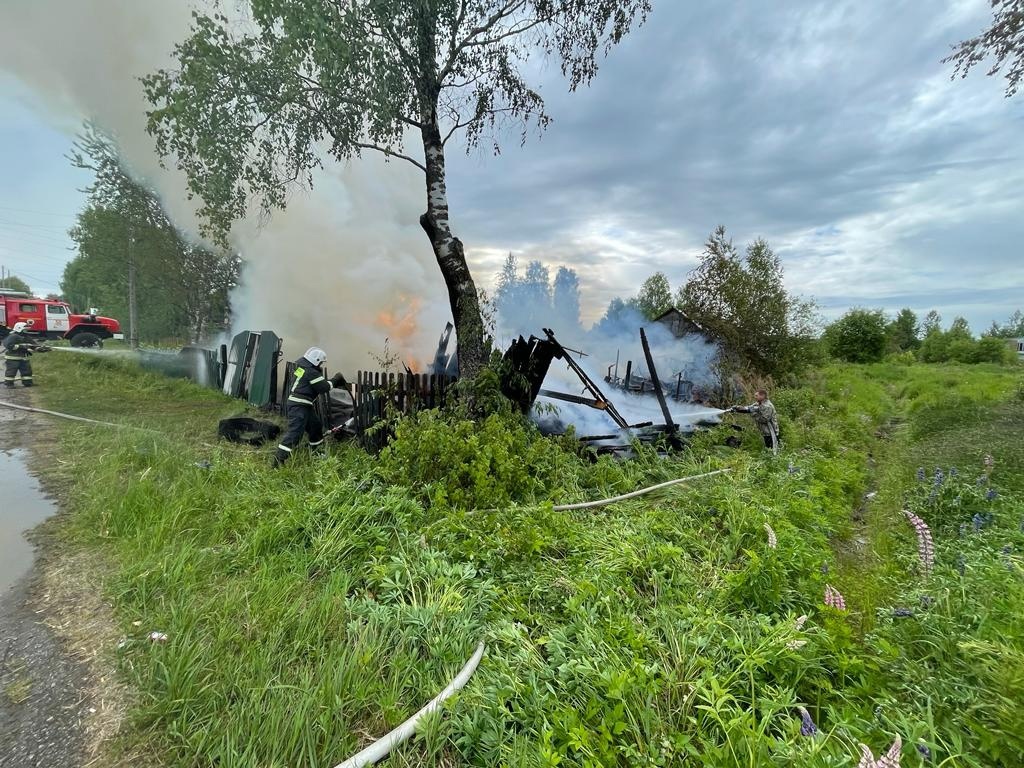 Собака погибла на страшном пожаре в Карелии | 20.06.2023 | Новости  Петрозаводска - БезФормата